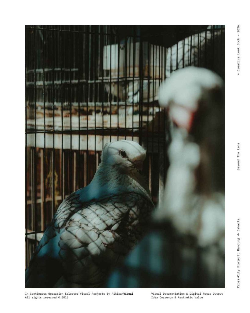 Pasar Burung Sukahaji Bandung Dokumentasi PikiranVisual.