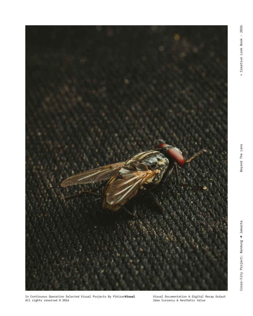 Fotografi makro ekstrem mata majemuk lalat PikiranVisual