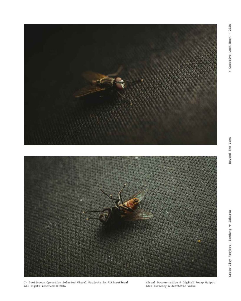 Fotografi makro ekstrem mata majemuk lalat PikiranVisual