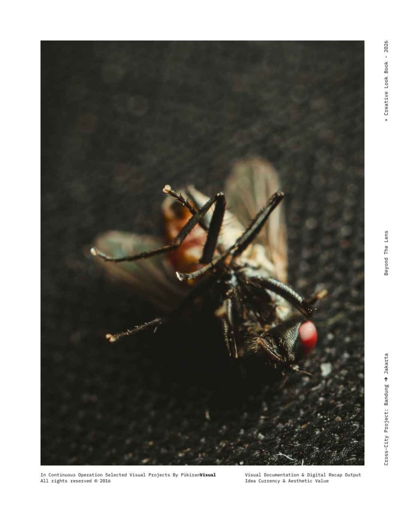 Fotografi makro ekstrem mata majemuk lalat PikiranVisual