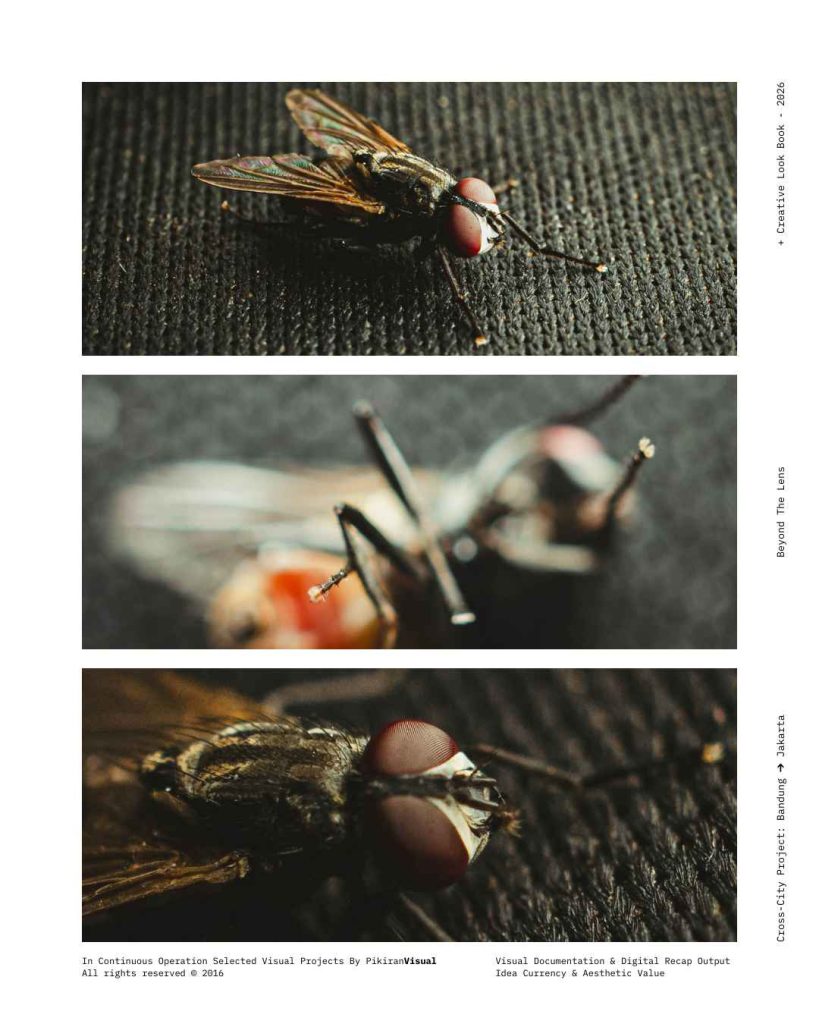 Fotografi makro ekstrem mata majemuk lalat PikiranVisual