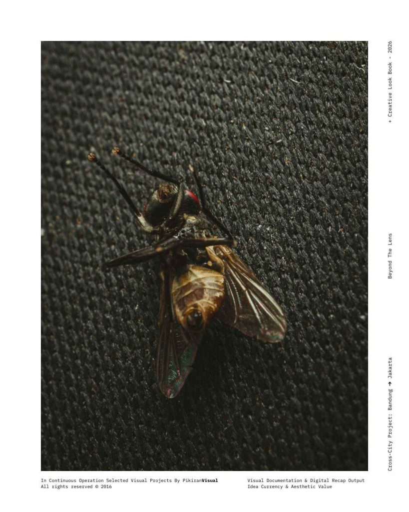 Fotografi makro ekstrem mata majemuk lalat PikiranVisual