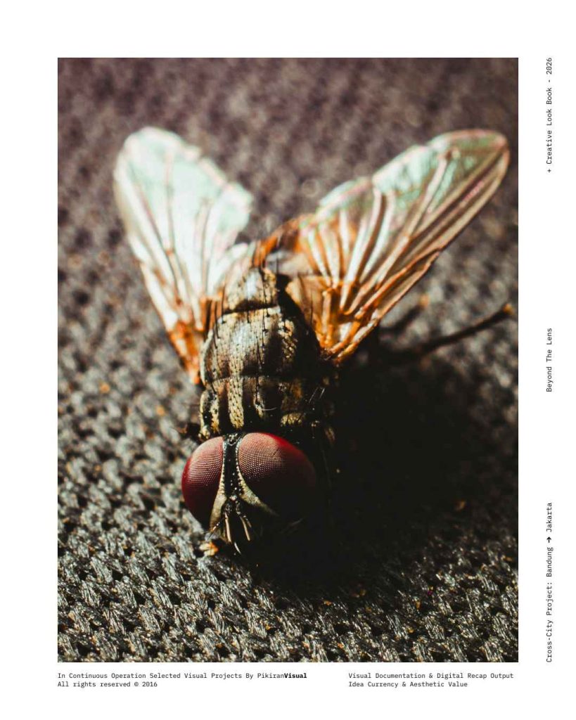 Fotografi makro ekstrem mata majemuk lalat PikiranVisual