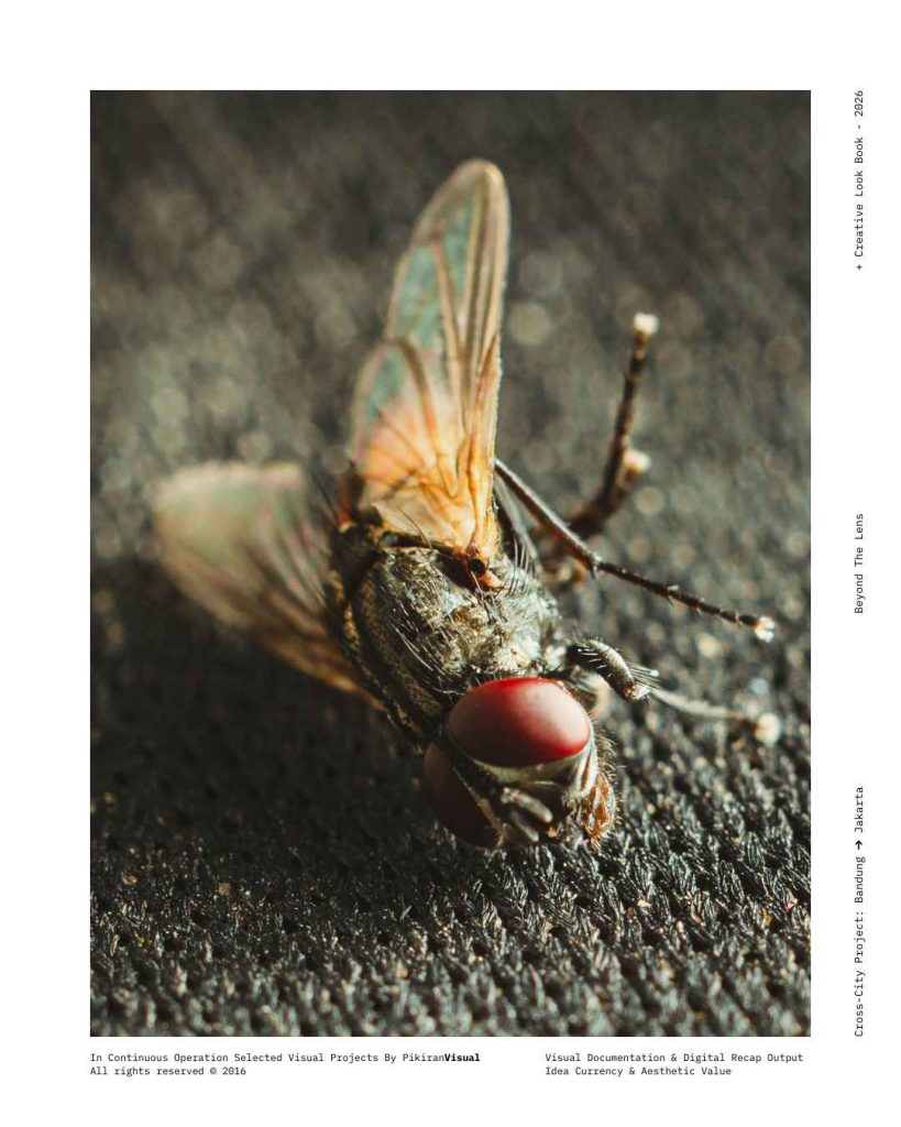 Fotografi makro ekstrem mata majemuk lalat PikiranVisual